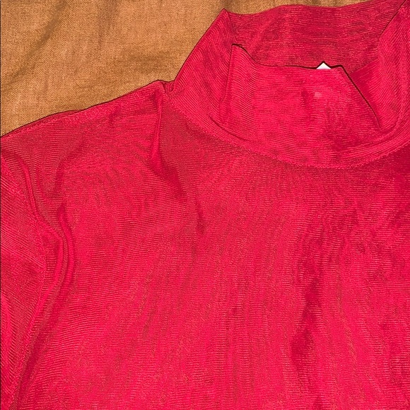 2 Sheer Mesh Blouses - Picture 5 of 7